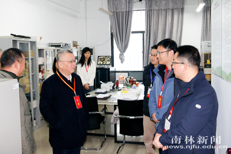 微信图片_20241221221715_副本